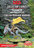 71061 chultan dinosaur warrior box