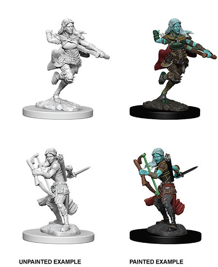 D&D Nolzur's Marvelous Miniatures: Air Genasi Rogue