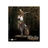 Anne bonny %282%29