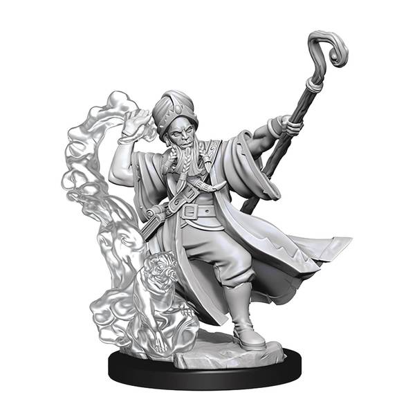Dungeons & Dragons Frameworks - Human Wizard Male