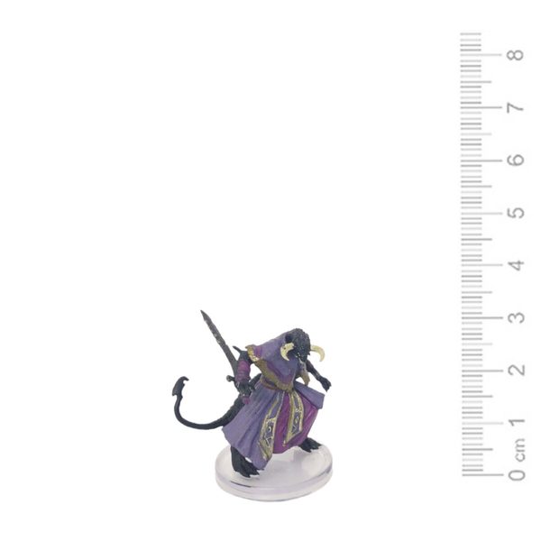 D&D Pre-Painted Icons of the Realm: Rezmir
